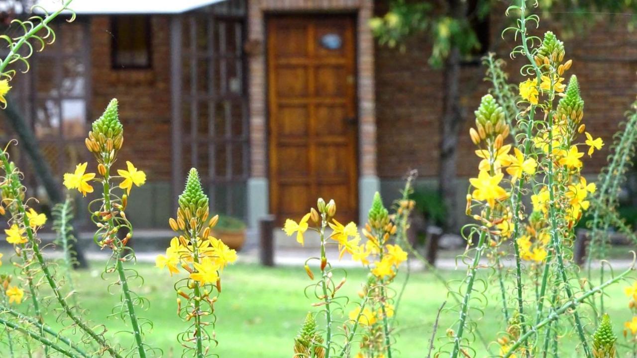 Cabanas Agua Que Brilla مينا كلافيرو المظهر الخارجي الصورة
